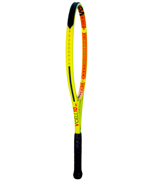 V-CELL 10 300G